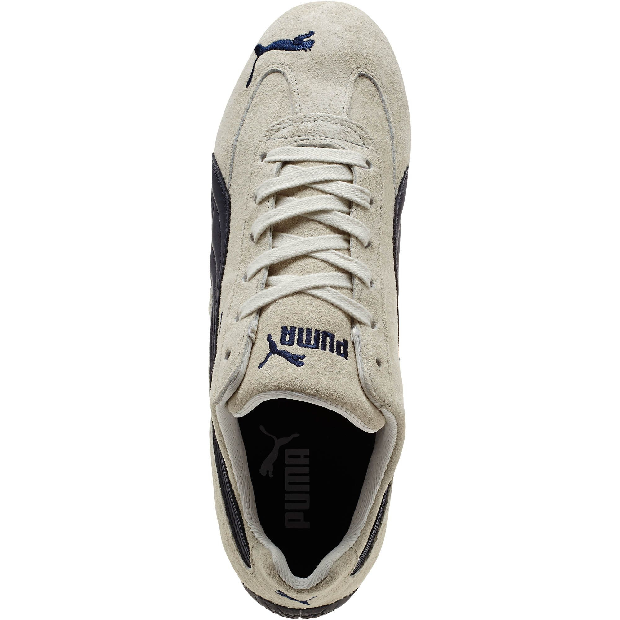 puma dcat